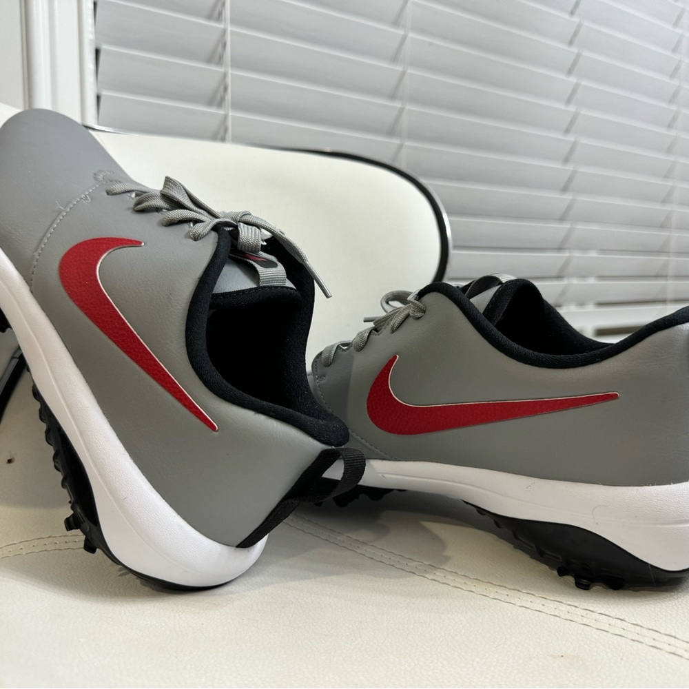 Nike Golf shoes, New without the box!!